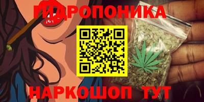 каннабис Новодвинск
