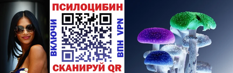 Псилоцибиновые грибы Psilocybine cubensis Тулун