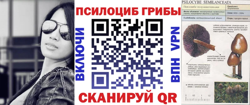 Галлюциногенные грибы GOLDEN TEACHER  Тулун 
