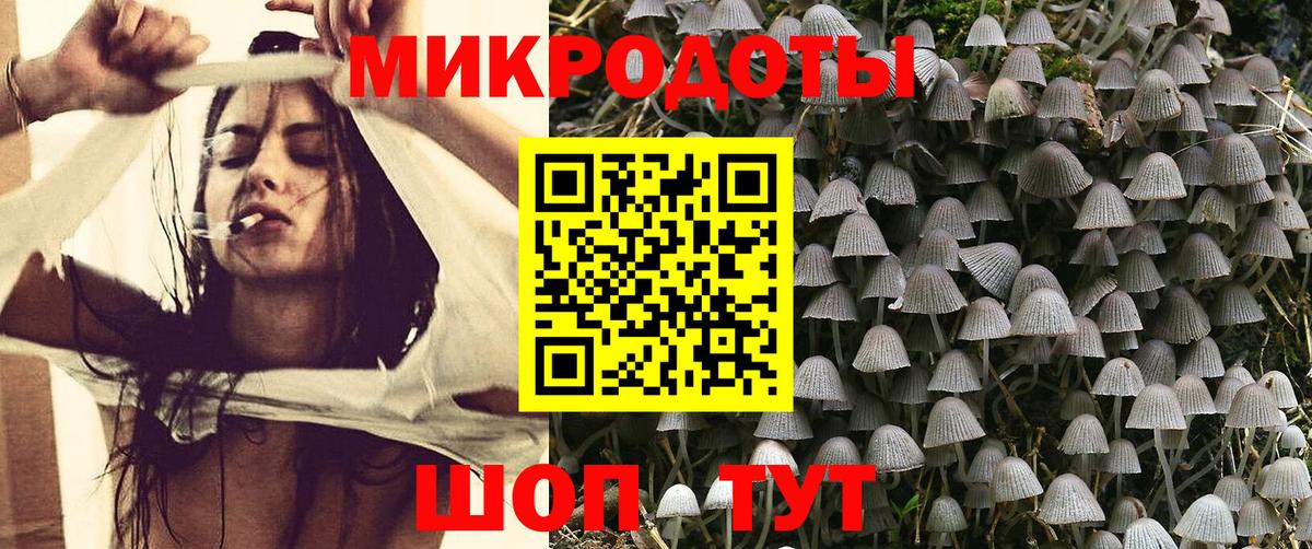 Псилоцибиновые грибы Cubensis Тулун
