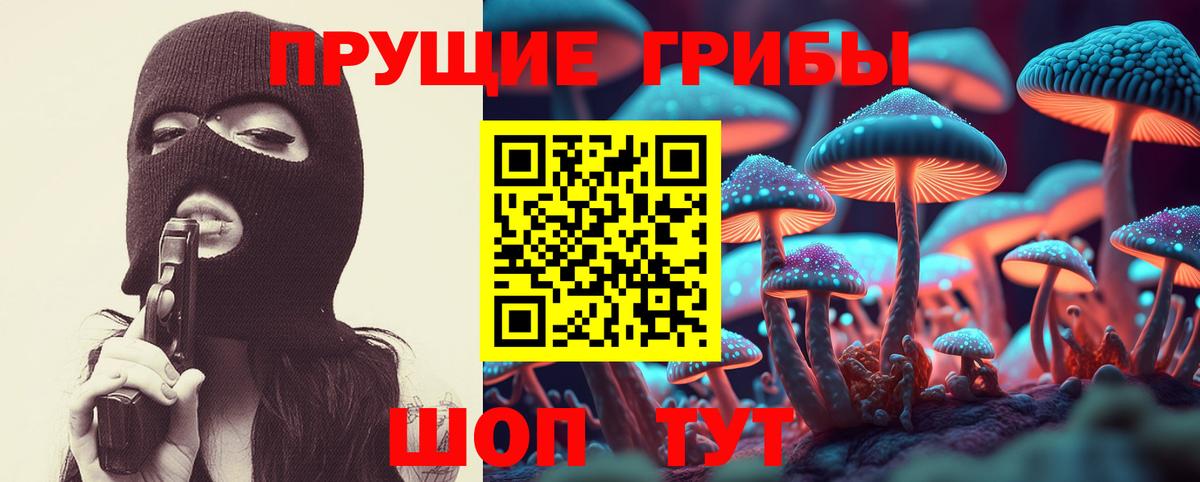 Тулун  Псилоцибиновые грибы ЛСД  Вход с VPN  Галлюциногенные грибы MAGIC MUSHROOMS 